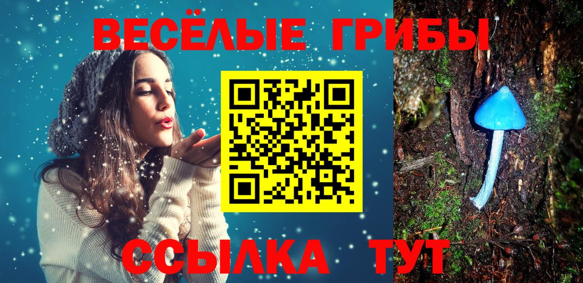 Псилоцибиновые грибы Psilocybe  Вход с VPN  Мурино 